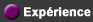 Experience