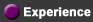 Experience