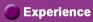 Experience