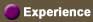 Experience