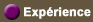 Experience