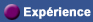 Experience
